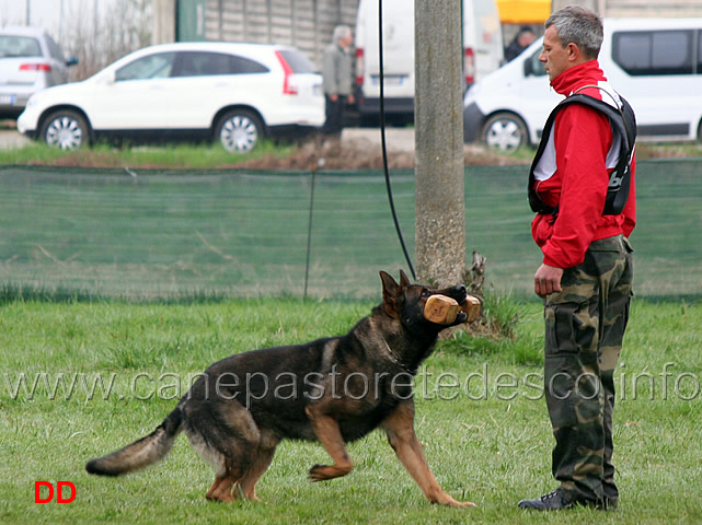 maurizio-buzzegoli-con-heiko-della-decima-mas-B84-IPO2-05.jpg - Maurizio Buzzegoli con Heiko della Decima Mas IPO2 (B punti 84)