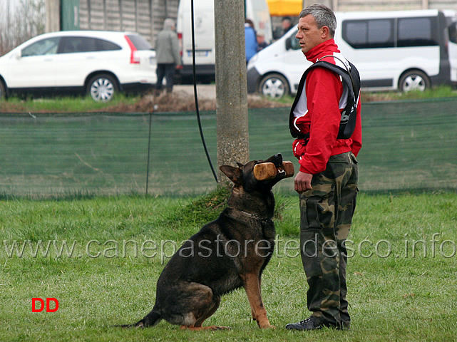 maurizio-buzzegoli-con-heiko-della-decima-mas-B84-IPO2-06.jpg - Maurizio Buzzegoli con Heiko della Decima Mas IPO2 (B punti 84)