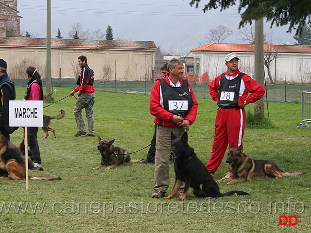 premiazione-04.jpg - Premiazione Regione Marche