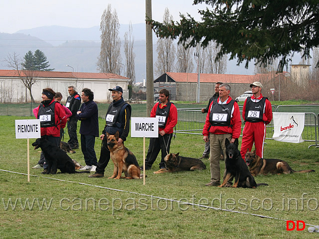 premiazione-05.jpg - Premiazione Marche e Piemonte