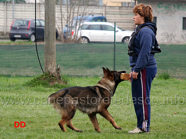 raja-della-zattera-B92-IPO2-05.jpg - Silvia Peron con Raja della Zattera IPO2 (B punti 92 miglior obbedienza)