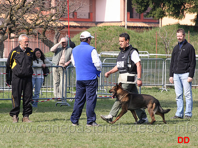 renzo-cairo-con-giovepluvio-fidel-B79-IPO3-02.jpg - Renzo Cairo con Giovepluvio Fidel IPO3 (B punti 79)