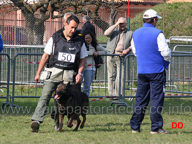 renzo-cairo-con-giovepluvio-fidel-B79-IPO3-03.jpg - Renzo Cairo con Giovepluvio Fidel IPO3 (B punti 79)