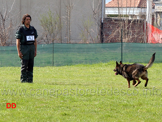 roberto-frattaroli-con-boss-dei-lupi-di-mare-B85-IPO3-04.jpg - Roberto Frattaroli con Boss dei Lupi di Mare IPO3  (B punti 85)