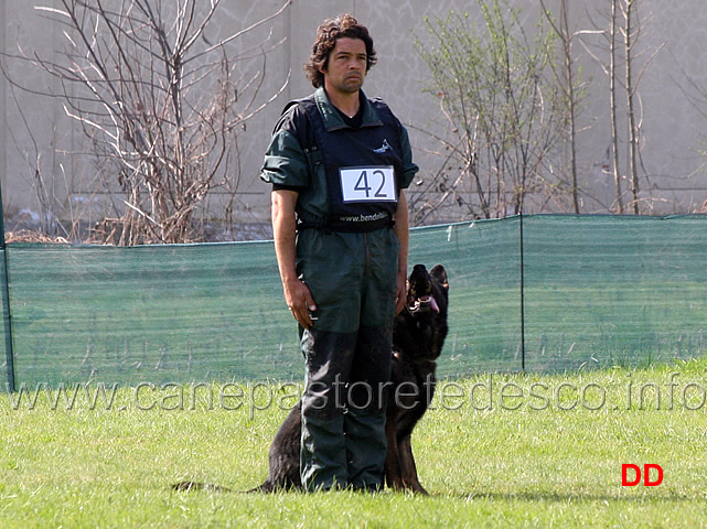 roberto-frattaroli-con-boss-dei-lupi-di-mare-B85-IPO3-08.jpg - Roberto Frattaroli con Boss dei Lupi di Mare IPO3  (B punti 85)