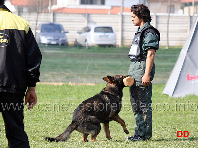 roberto-frattaroli-con-boss-dei-lupi-di-mare-B85-IPO3-12.jpg - Roberto Frattaroli con Boss dei Lupi di Mare IPO3  (B punti 85)