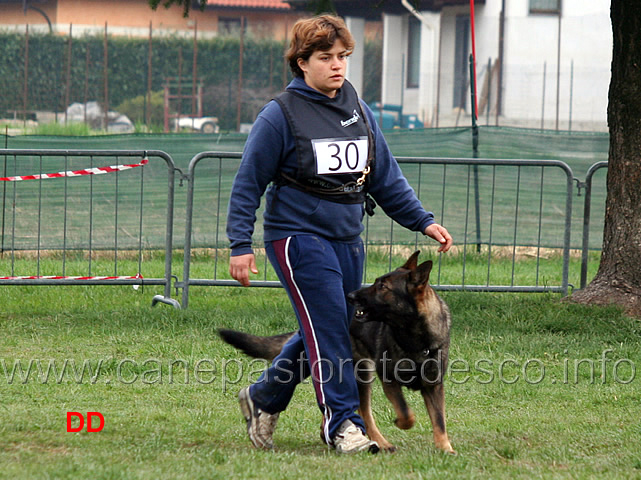 silvia-peron-con-raja-della-zattera-B92-IPO2-02.jpg - Silvia Peron con Raja della Zattera IPO2 (B punti 92 miglior obbedienza)