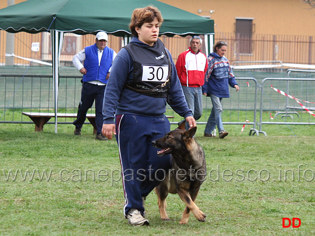 silvia-peron-con-raja-della-zattera-B92-IPO2-03.jpg - Silvia Peron con Raja della Zattera IPO2 (B punti 92 miglior obbedienza)