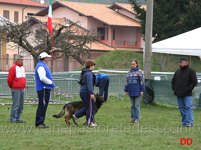 silvia-peron-con-raja-della-zattera-B92-IPO2-04.jpg - Silvia Peron con Raja della Zattera IPO2 (B punti 92 miglior obbedienza)