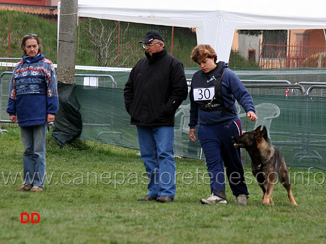 silvia-peron-con-raja-della-zattera-B92-IPO2-05.jpg - Silvia Peron con Raja della Zattera IPO2 (B punti 92 miglior obbedienza)