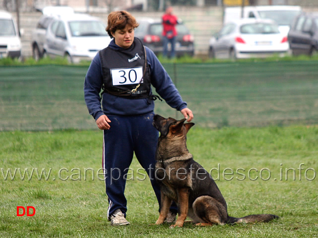 silvia-peron-con-raja-della-zattera-B92-IPO2-07.jpg - Silvia Peron con Raja della Zattera IPO2 (B punti 92 miglior obbedienza)