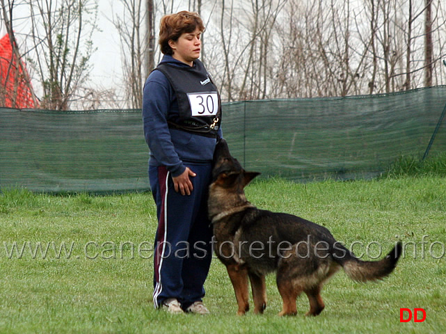 silvia-peron-con-raja-della-zattera-B92-IPO2-10.jpg - Silvia Peron con Raja della Zattera IPO2 (B punti 92 miglior obbedienza)