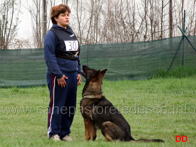 silvia-peron-con-raja-della-zattera-B92-IPO2-11.jpg - Silvia Peron con Raja della Zattera IPO2 (B punti 92 miglior obbedienza)