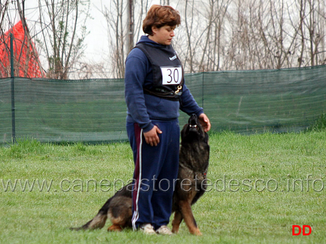 silvia-peron-con-raja-della-zattera-B92-IPO2-12.jpg - Silvia Peron con Raja della Zattera IPO2 (B punti 92 miglior obbedienza)