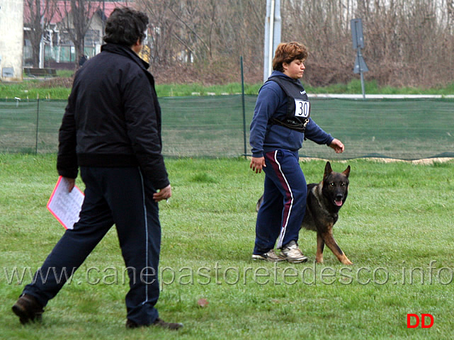 silvia-peron-con-raja-della-zattera-B92-IPO2-13.jpg - Silvia Peron con Raja della Zattera IPO2 (B punti 92 miglior obbedienza)