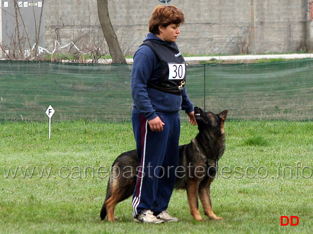 silvia-peron-con-raja-della-zattera-B92-IPO2-14.jpg - Silvia Peron con Raja della Zattera IPO2 (B punti 92 miglior obbedienza)