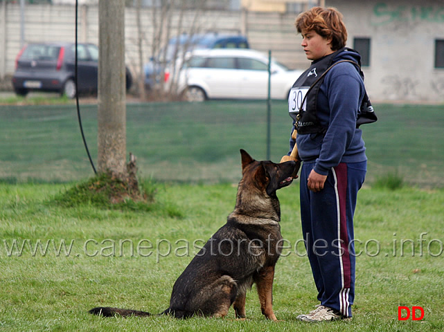 silvia-peron-con-raja-della-zattera-B92-IPO2-16.jpg - Silvia Peron con Raja della Zattera IPO2 (B punti 92 miglior obbedienza)