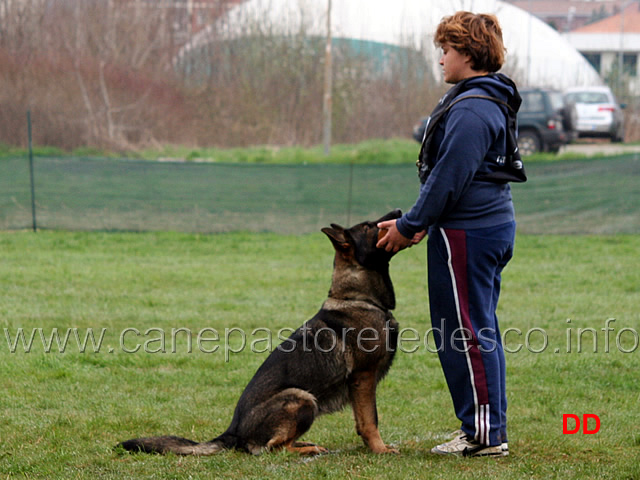 silvia-peron-con-raja-della-zattera-B92-IPO2-18.jpg - Silvia Peron con Raja della Zattera IPO2 (B punti 92 miglior obbedienza)