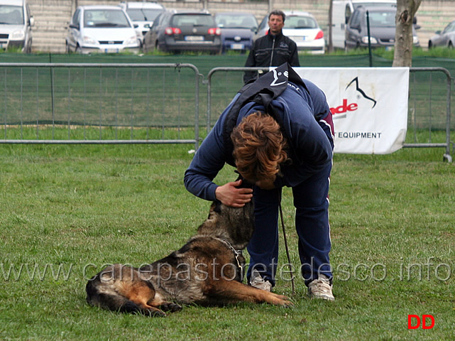 silvia-peron-con-raja-della-zattera-B92-IPO2-21.jpg - Silvia Peron con Raja della Zattera IPO2 (B punti 92 miglior obbedienza)