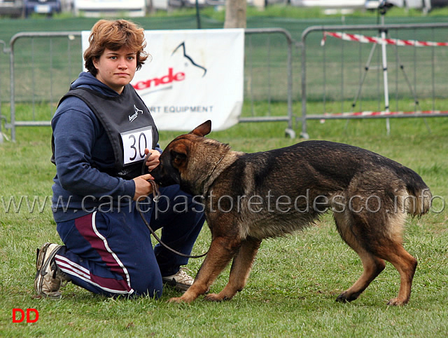 silvia-peron-con-raja-della-zattera-B92-IPO2-22.jpg - Silvia Peron con Raja della Zattera IPO2 (B punti 92 miglior obbedienza)