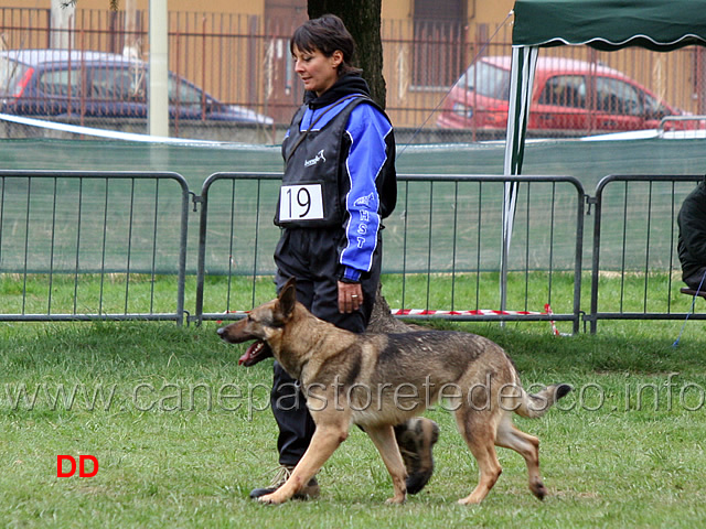 simona-cianfa-con-hanna-della-croce-del-sud-B88-IPO2-02.jpg - Simona Cianfa con Hanna della Croce del Sud IPO2 (B punti 88)