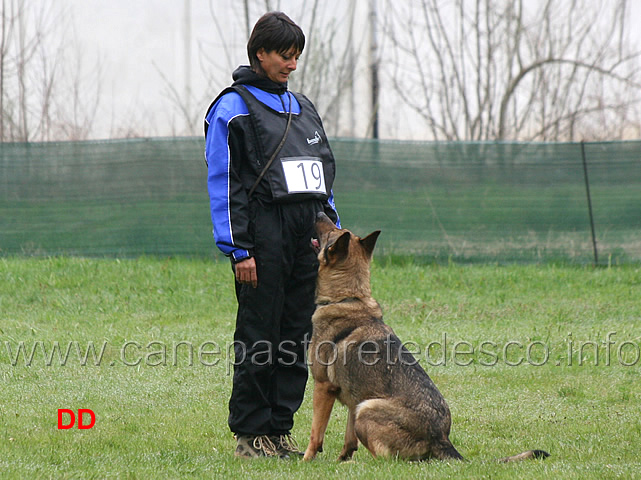 simona-cianfa-con-hanna-della-croce-del-sud-B88-IPO2-04.jpg - Simona Cianfa con Hanna della Croce del Sud IPO2 (B punti 88)