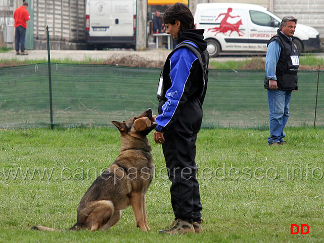 simona-cianfa-con-hanna-della-croce-del-sud-B88-IPO2-06.jpg - Simona Cianfa con Hanna della Croce del Sud IPO2 (B punti 88)