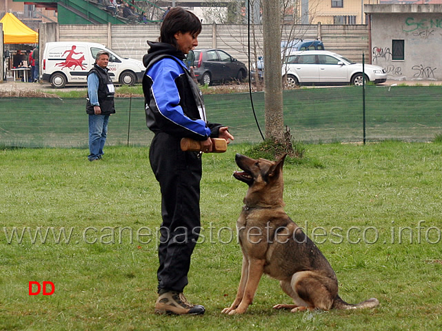 simona-cianfa-con-hanna-della-croce-del-sud-B88-IPO2-09.jpg - Simona Cianfa con Hanna della Croce del Sud IPO2 (B punti 88)