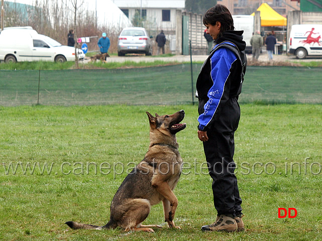 simona-cianfa-con-hanna-della-croce-del-sud-B88-IPO2-10.jpg - Simona Cianfa con Hanna della Croce del Sud IPO2 (B punti 88)