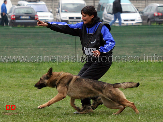 simona-cianfa-con-hanna-della-croce-del-sud-B88-IPO2-11.jpg - Simona Cianfa con Hanna della Croce del Sud IPO2 (B punti 88)