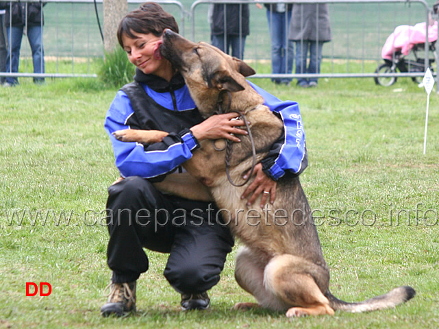 simona-cianfa-con-hanna-della-croce-del-sud-B88-IPO2-15.jpg - Simona Cianfa con Hanna della Croce del Sud IPO2 (B punti 88)