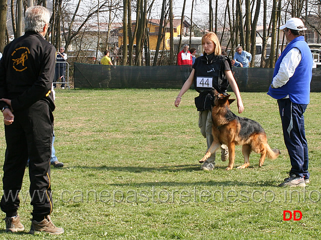 valentina-rossignola-con-caleb-B83-IPO3-03.jpg - Valentina Rossignola con Caleb IPO3 (B punti 83)