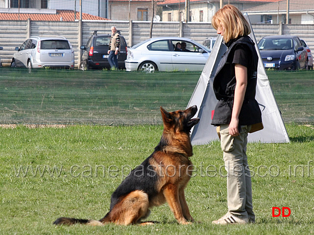 valentina-rossignola-con-caleb-B83-IPO3-09.jpg - Valentina Rossignola con Caleb IPO3 (B punti 83)