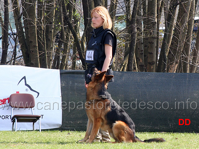 valentina-rossignola-con-caleb-B83-IPO3.jpg - Valentina Rossignola con Caleb IPO3 (B punti 83)