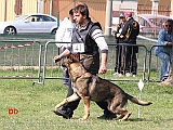 giuseppe-spinello-con-max-di-casa-nosella-B76-IPO3-06