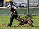 giuseppe-spinello-con-max-di-casa-nosella-B76-IPO3-15