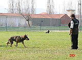 giuseppe-spinello-con-max-di-casa-nosella-B76-IPO3-23