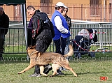 luca-pierini-con-doc-holliday-della-croce-del-sud-B75-IPO1-02