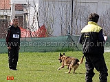 luca-pierini-con-doc-holliday-della-croce-del-sud-B75-IPO1-05