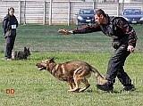 luca-pierini-con-doc-holliday-della-croce-del-sud-B75-IPO1-11