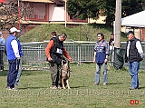 massimo-cappai-con-ronny-di-croce-santo-spirito-B72-IPO1-07