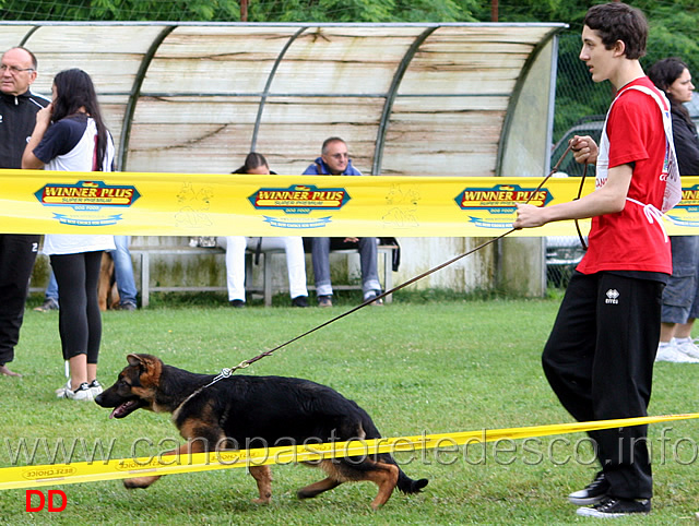 baby-maschi-valerio-zesi-con-duca.jpg - Baby maschi. Valerio Zesi con Duca