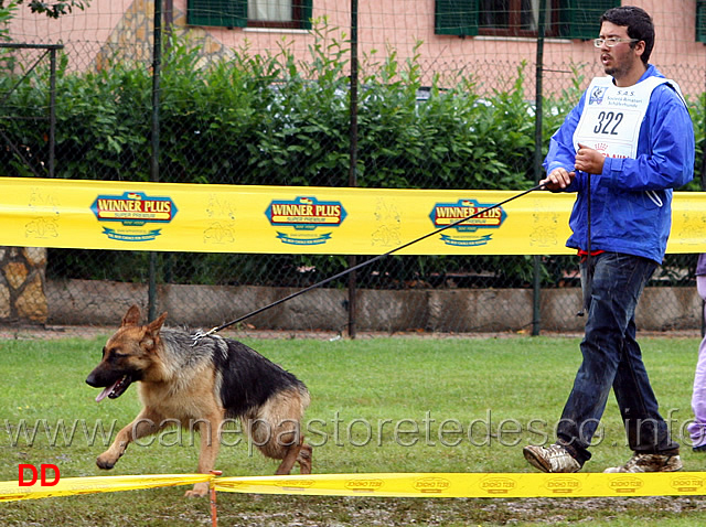 cucciolone-femmine-daniel-lucchese-con-bechy.jpg - Cucciolone femmine. Daniel Lucchese con Bechy