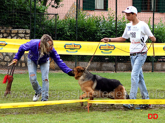 cucciolone-femmine-gianluca-petriccione-con-minnie-di-casa-massarelli.jpg - Cucciolone femmine. Gianluca Petriccione con Minnie di Casa Massarelli