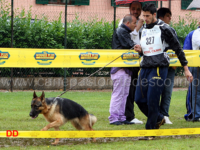 cucciolone-femmine-onofrio-triglia-con-masha.jpg - Cucciolone femmine. Onofrio Triglia con Masha