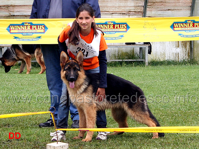 eliot-della-vignola-condotto-da-claudia-cifra-8-classificato-juniores-maschi.jpg - Eliot della Vignola condotto da Claudia Cifra 8 classificato Juniores maschi