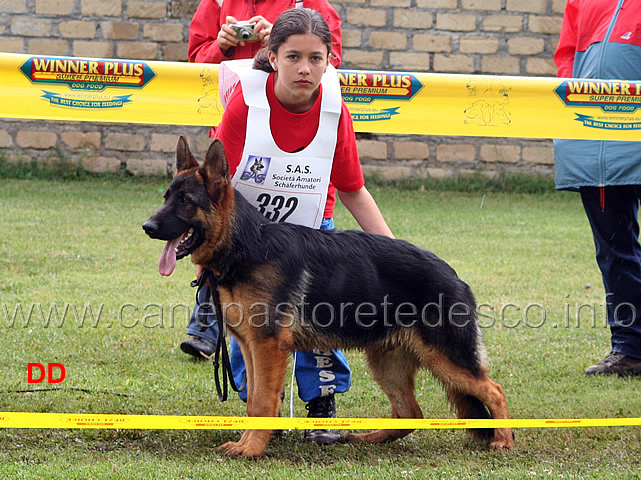 ghero-di-chiara-sorgente-condotto-da-ludovica-lucchese-7-classificato-juniores-maschi.jpg - Ghero di Chiara Sorgente condotto da Ludovica Lucchese 7 classificato Juniores maschi