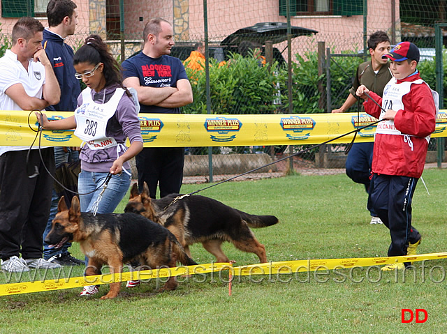 kristina-dori-con-hira-di-valmadrera-e-andrea-de-ciantis-con-peppe-della-valle-del-liri-duello.jpg - Baby maschi. Kristina Dori con Hiras di Valmadrera e Andrea De Ciantis con Peppe della Valle del Liri. Duello.