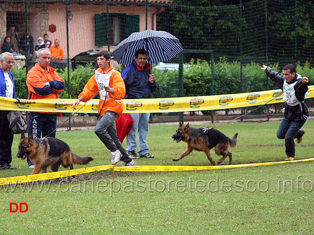 luna-hohenloher-berger-e-america-di-casa-arcaro-spareggi.jpg - Luna Hohenloher Berger e America di Casa Arcaro. Spareggi.