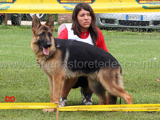 max-degli-osci-condotto-da-silvia-lucchese-6-classificato-juniores-maschi.jpg - Max degli Osci condotto da Silvia Lucchese 6 classificato Juniores maschi